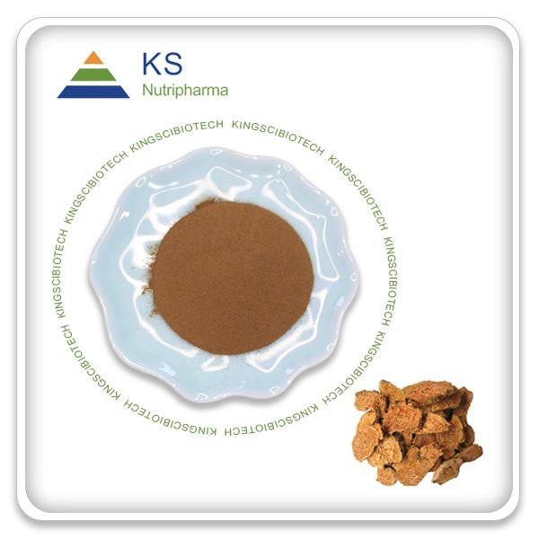 Púdar Sliocht Rhodiola Rosea