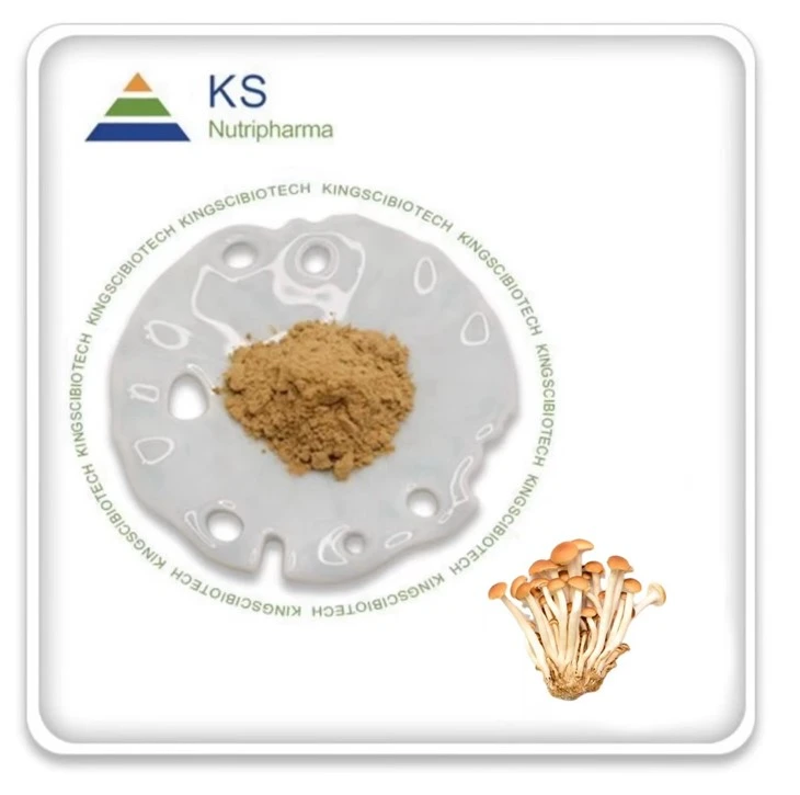 Sliocht Agrocybe Aegerita